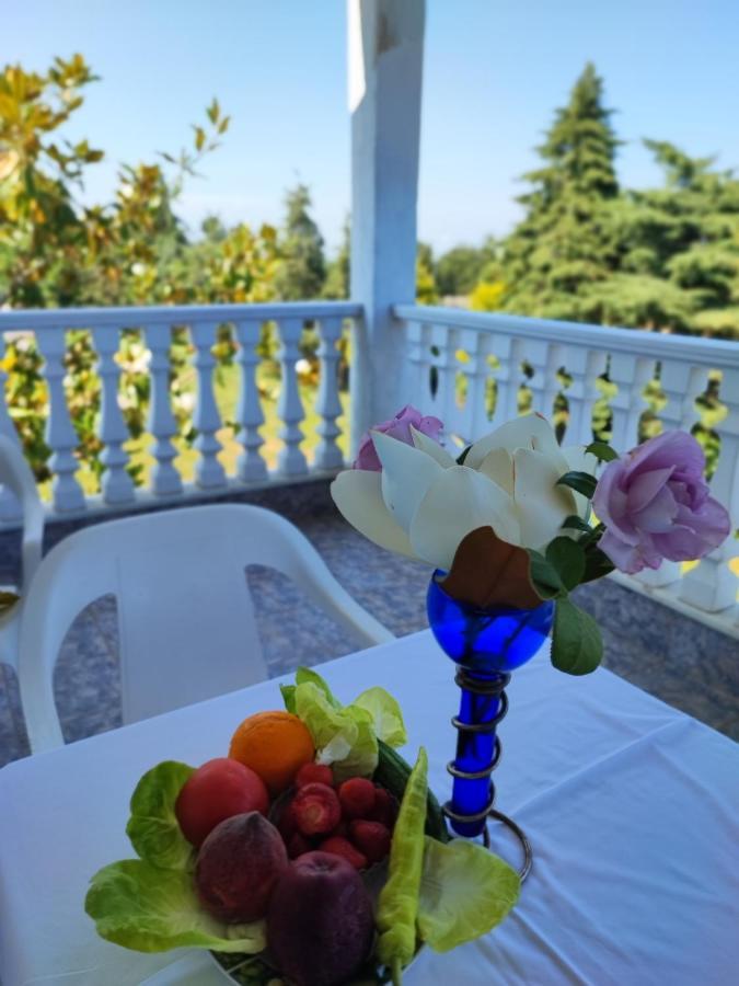 Olympus Mytikas Apartment Литохоро Экстерьер фото